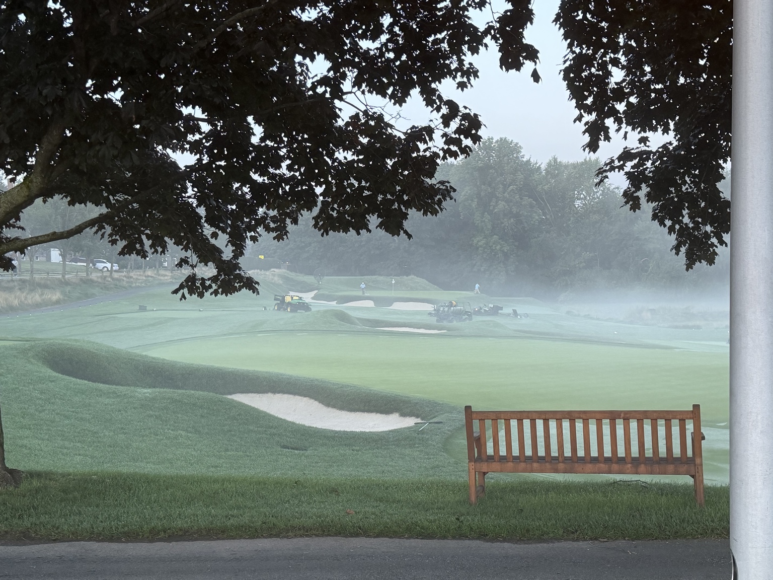 Misty golf course framed by a tree and bench